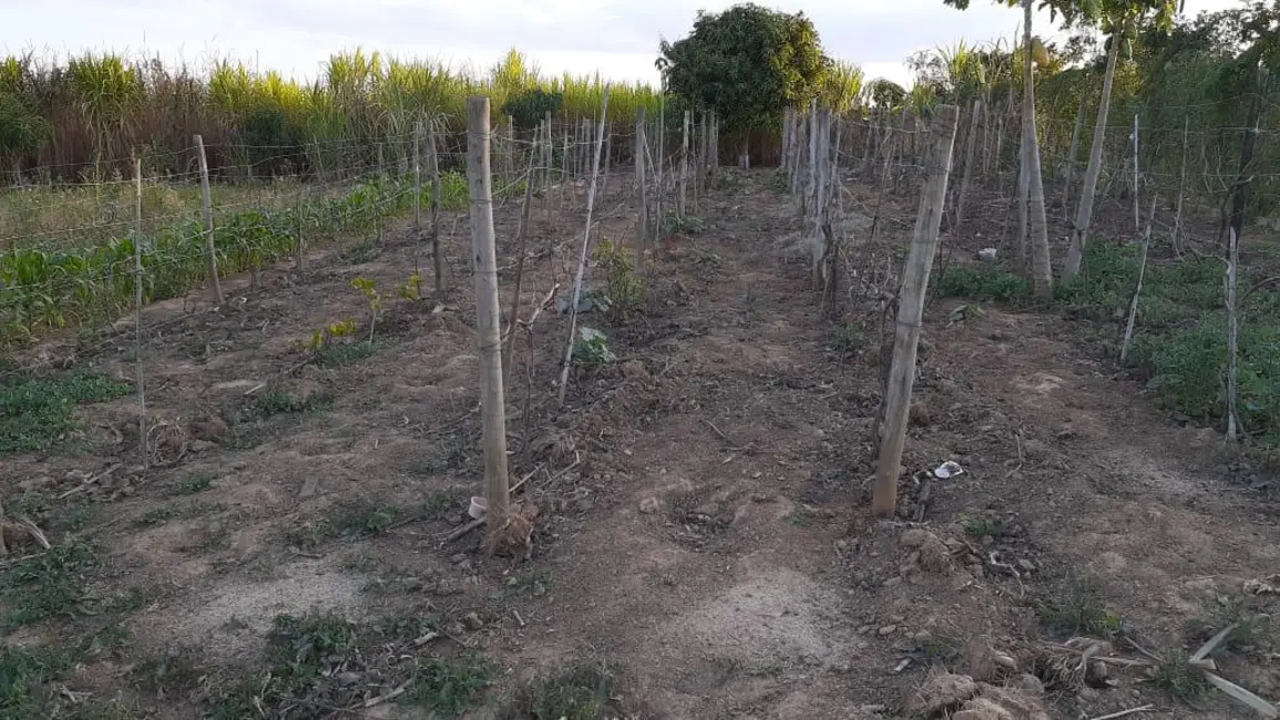 Foto 7 de Chácara à venda, 20000m2 em Elias Fausto - SP