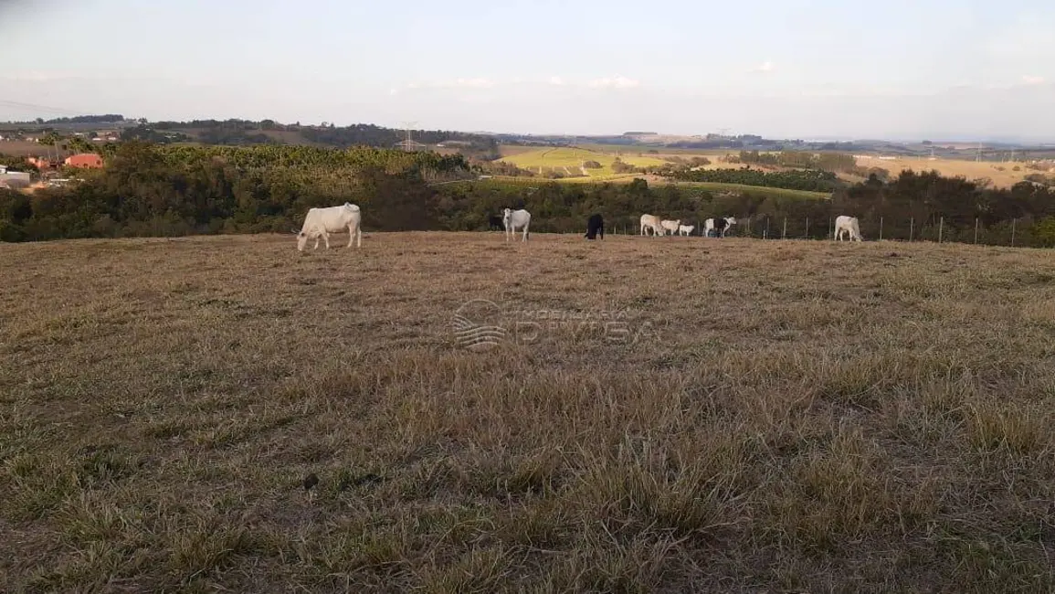 Foto 2 de Chácara à venda, 20000m2 em Elias Fausto - SP