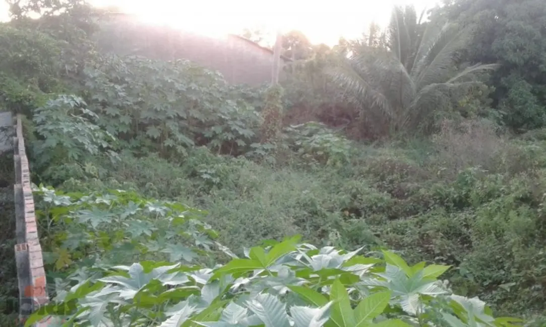 Terreno / Lote à venda, 1213m2 em Centro, Pacajus - CE - imagem 6 Foto 6 de Terreno / Lote à venda, 1213m2 em Centro, Pacajus - CE