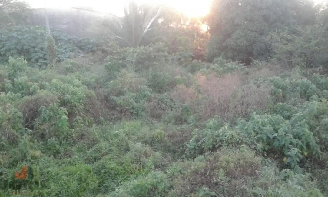 Terreno / Lote à venda, 1213m2 em Centro, Pacajus - CE - imagem 3 Foto 3 de Terreno / Lote à venda, 1213m2 em Centro, Pacajus - CE