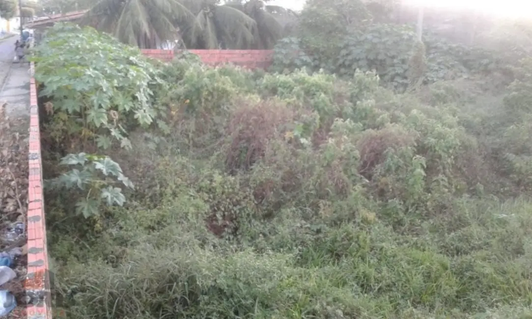 Terreno / Lote à venda, 1215m2 em Pacajus - CE - imagem 7 Foto 7 de Terreno / Lote à venda, 1215m2 em Pacajus - CE