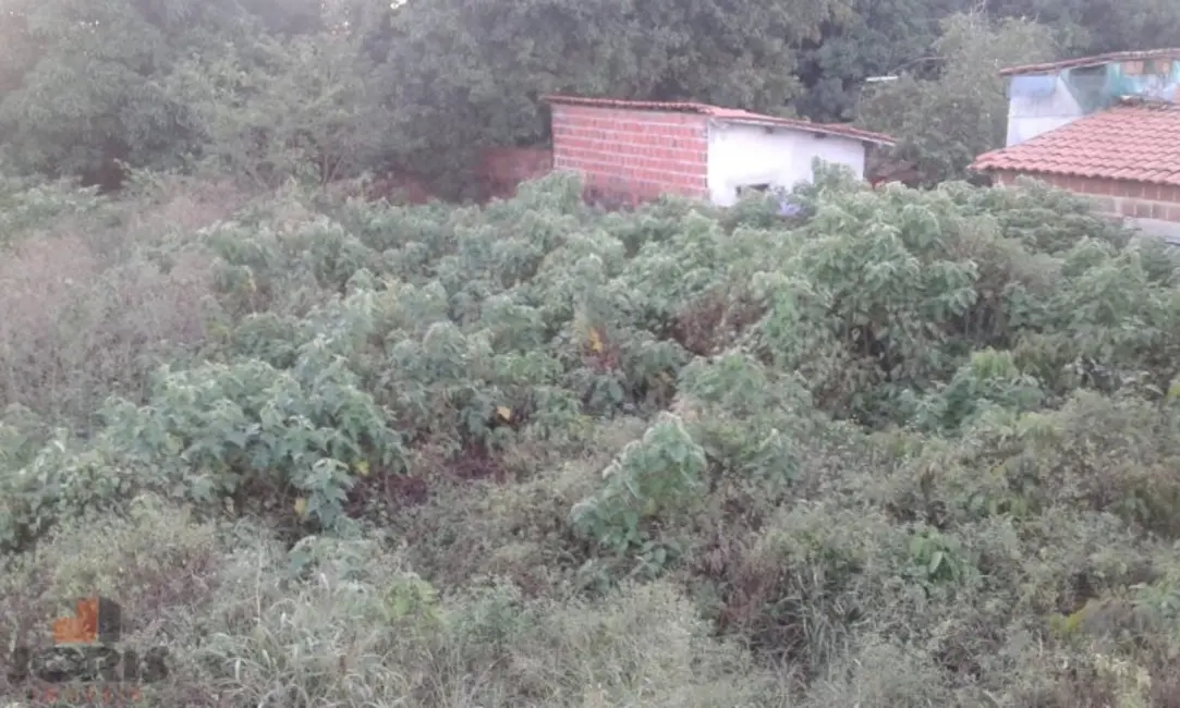 Terreno / Lote à venda, 1215m2 em Pacajus - CE - imagem 8 Foto 8 de Terreno / Lote à venda, 1215m2 em Pacajus - CE
