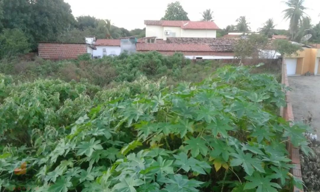Terreno / Lote à venda, 1215m2 em Pacajus - CE - imagem 4 Foto 4 de Terreno / Lote à venda, 1215m2 em Pacajus - CE
