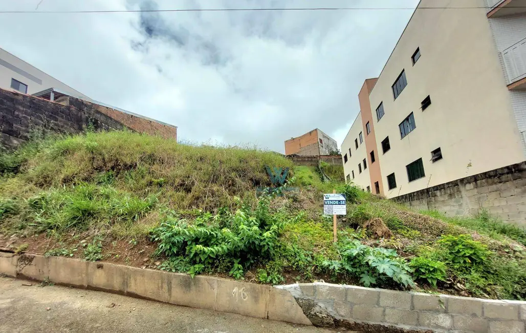 Terreno / Lote à venda, 580m2 em Jardim Quisisana, Pocos De Caldas - MG - imagem 6 Foto 6 de Terreno / Lote à venda, 580m2 em Jardim Quisisana, Pocos De Caldas - MG