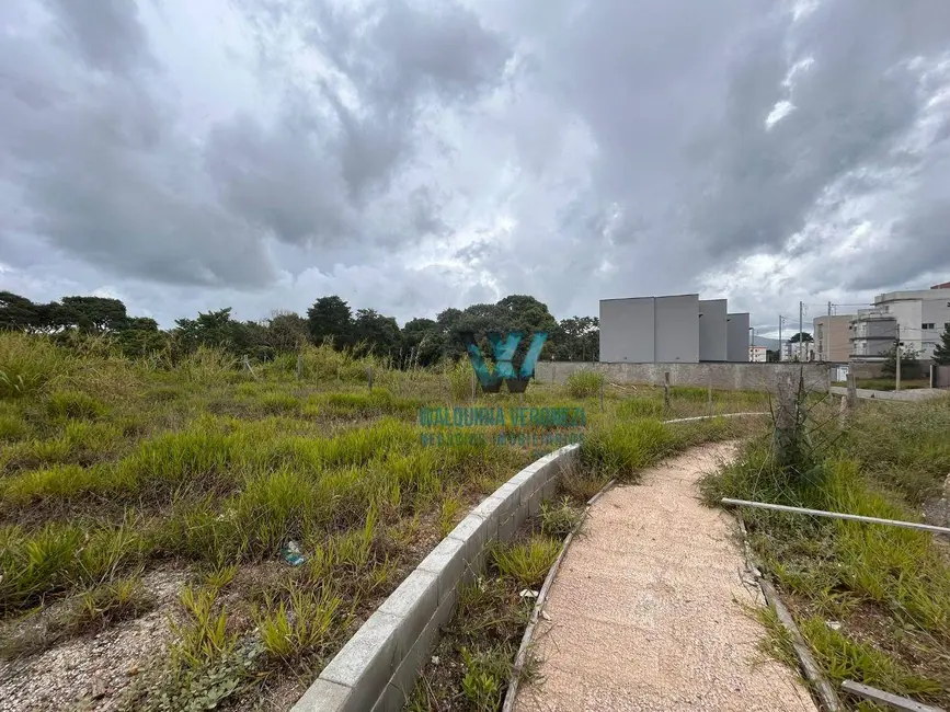 Terreno / Lote à venda, 280m2 em Maria Imaculada, Pocos De Caldas - MG - imagem 3 Foto 3 de Terreno / Lote à venda, 280m2 em Maria Imaculada, Pocos De Caldas - MG