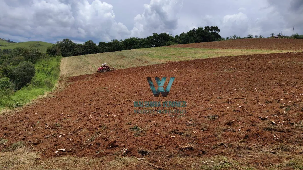 Chácara com 3 quartos à venda, 145200m2 em Caldas - MG - imagem 7 Foto 7 de Chácara com 3 quartos à venda, 145200m2 em Caldas - MG