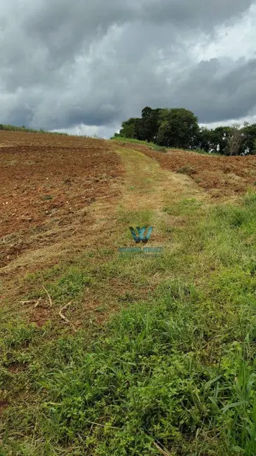 Chácara com 3 quartos à venda, 145200m2 em Caldas - MG - imagem 6 Foto 6 de Chácara com 3 quartos à venda, 145200m2 em Caldas - MG