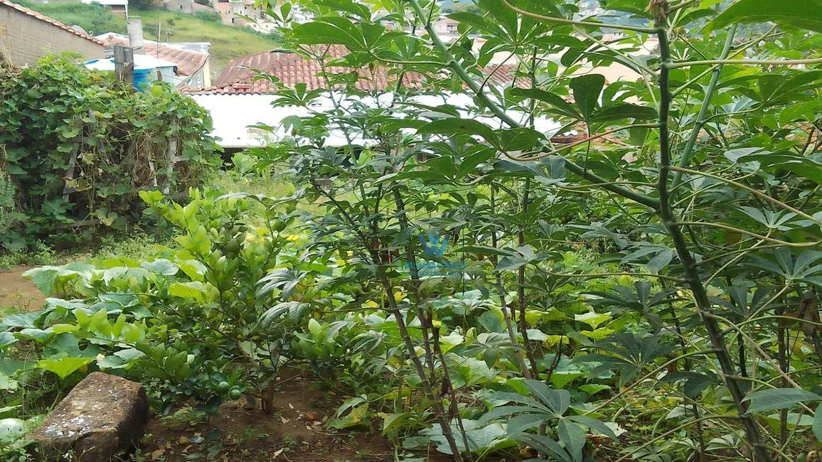 Casa com 3 quartos à venda, 400m2 em Estância São José, Pocos De Caldas - MG - imagem 6 Foto 6 de Casa com 3 quartos à venda, 400m2 em Estância São José, Pocos De Caldas - MG