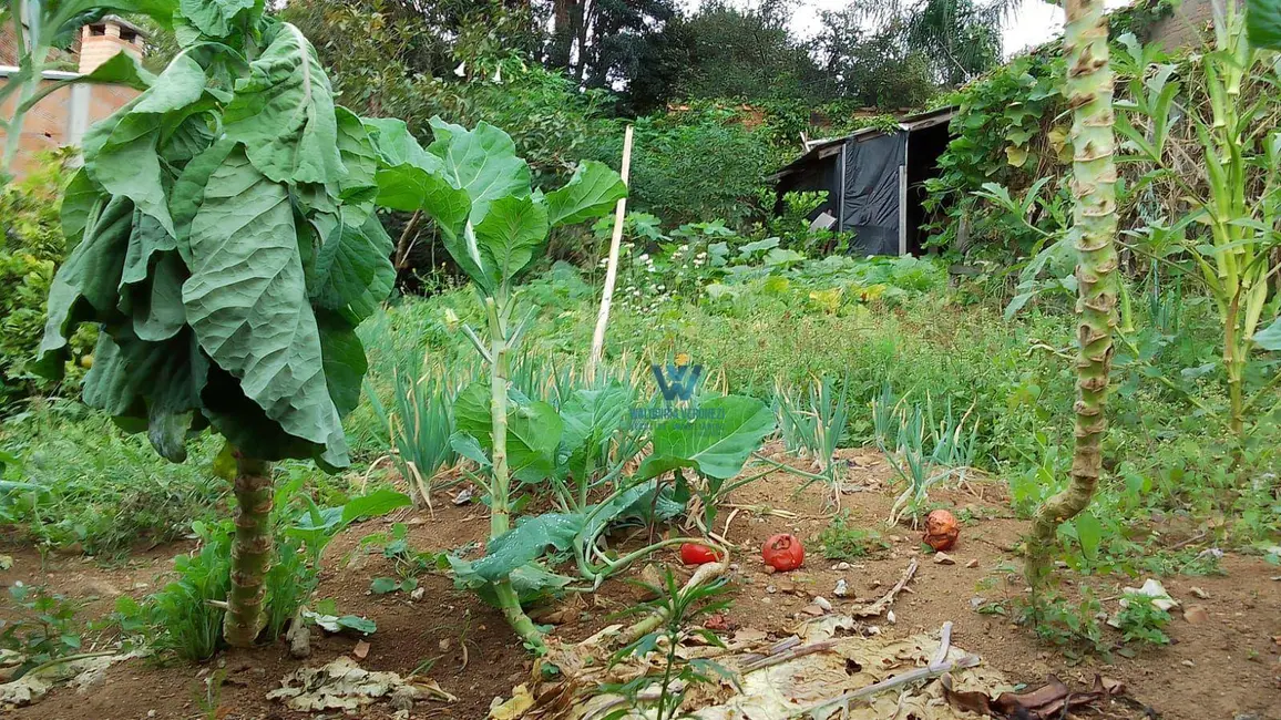 Casa com 3 quartos à venda, 400m2 em Estância São José, Pocos De Caldas - MG - imagem 9 Foto 9 de Casa com 3 quartos à venda, 400m2 em Estância São José, Pocos De Caldas - MG