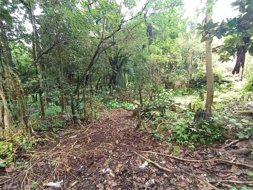 Terreno / Lote à venda, 2800m2 em Bianucci, Pocos De Caldas - MG - imagem 5 Foto 5 de Terreno / Lote à venda, 2800m2 em Bianucci, Pocos De Caldas - MG