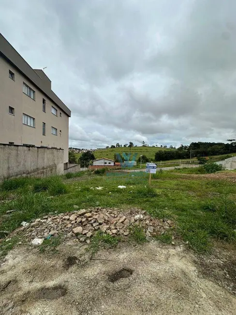 Foto 3 de Terreno / Lote à venda, 337m2 em Parque Pinheiros, Pocos De Caldas - MG