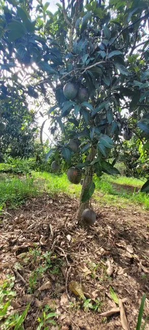 Foto 5 de Sítio / Rancho à venda, 45000m2 em Centro, Monte Mor - SP