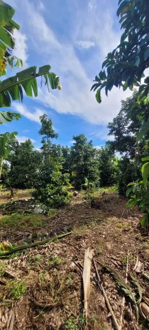 Foto 9 de Sítio / Rancho à venda, 45000m2 em Centro, Monte Mor - SP