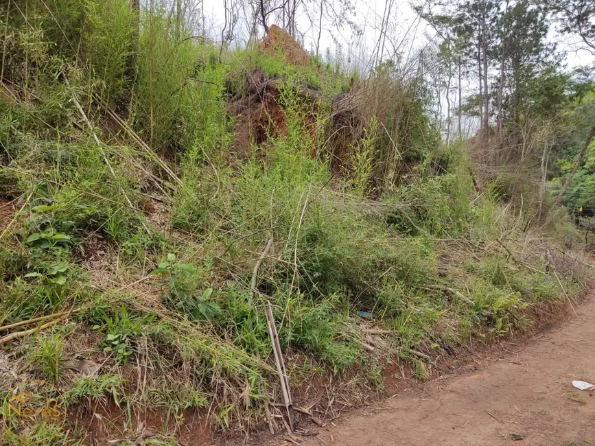 Foto 5 de Terreno / Lote à venda, 1206m2 em Paty Do Alferes - RJ