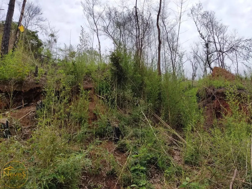 Foto 3 de Terreno / Lote à venda, 1206m2 em Paty Do Alferes - RJ