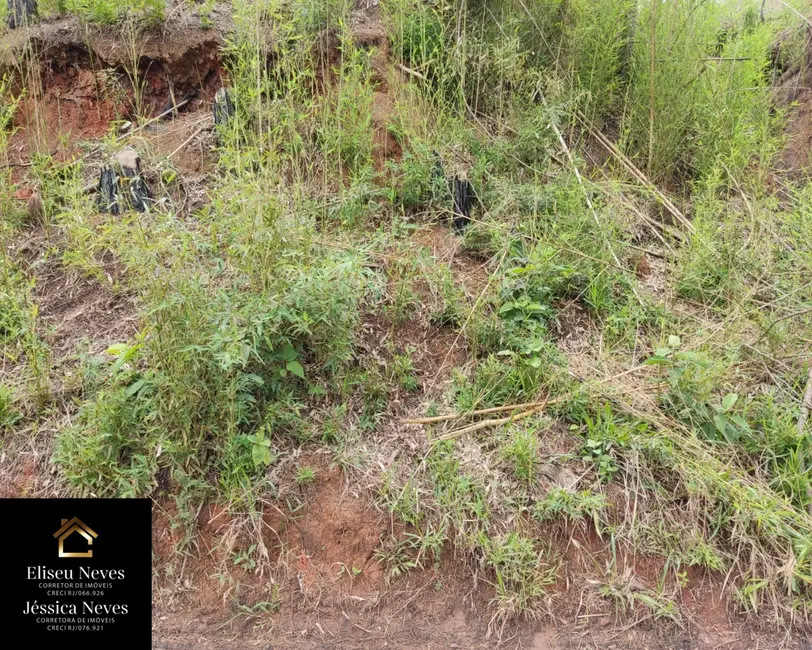 Foto 6 de Terreno / Lote à venda, 1206m2 em Paty Do Alferes - RJ