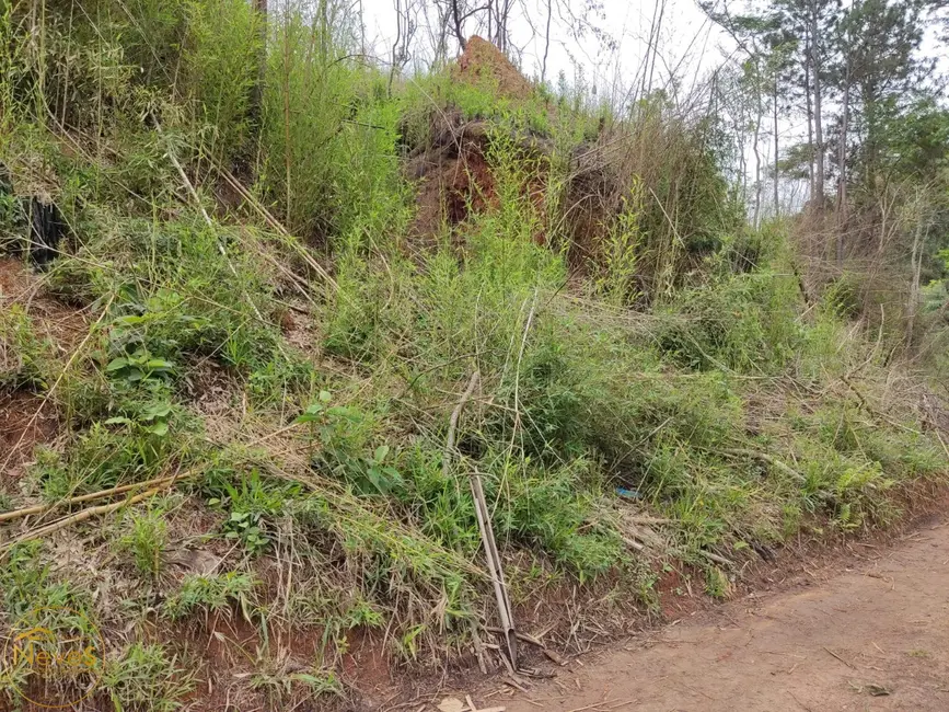 Foto 4 de Terreno / Lote à venda, 1206m2 em Paty Do Alferes - RJ