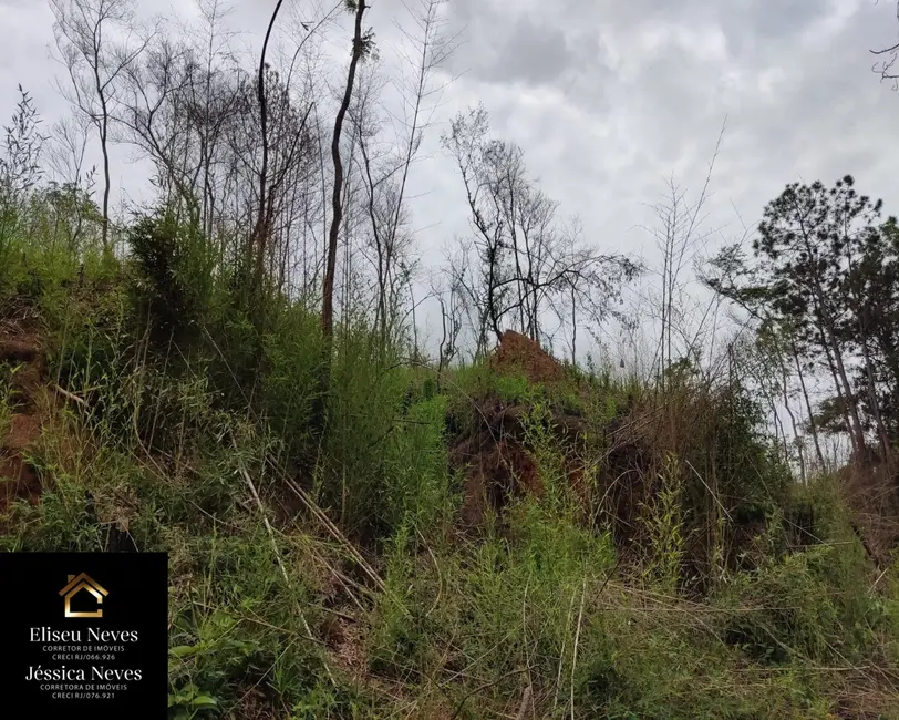 Foto 4 de Terreno / Lote à venda, 1206m2 em Paty Do Alferes - RJ