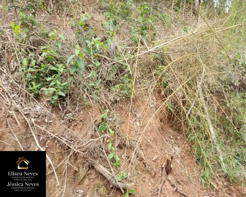 Foto 5 de Terreno / Lote à venda, 1145m2 em Paty Do Alferes - RJ
