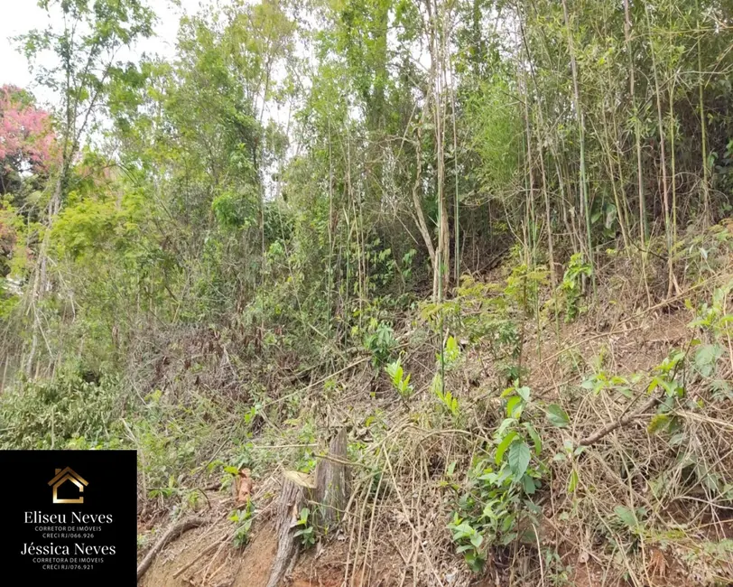 Foto 3 de Terreno / Lote à venda, 1145m2 em Paty Do Alferes - RJ