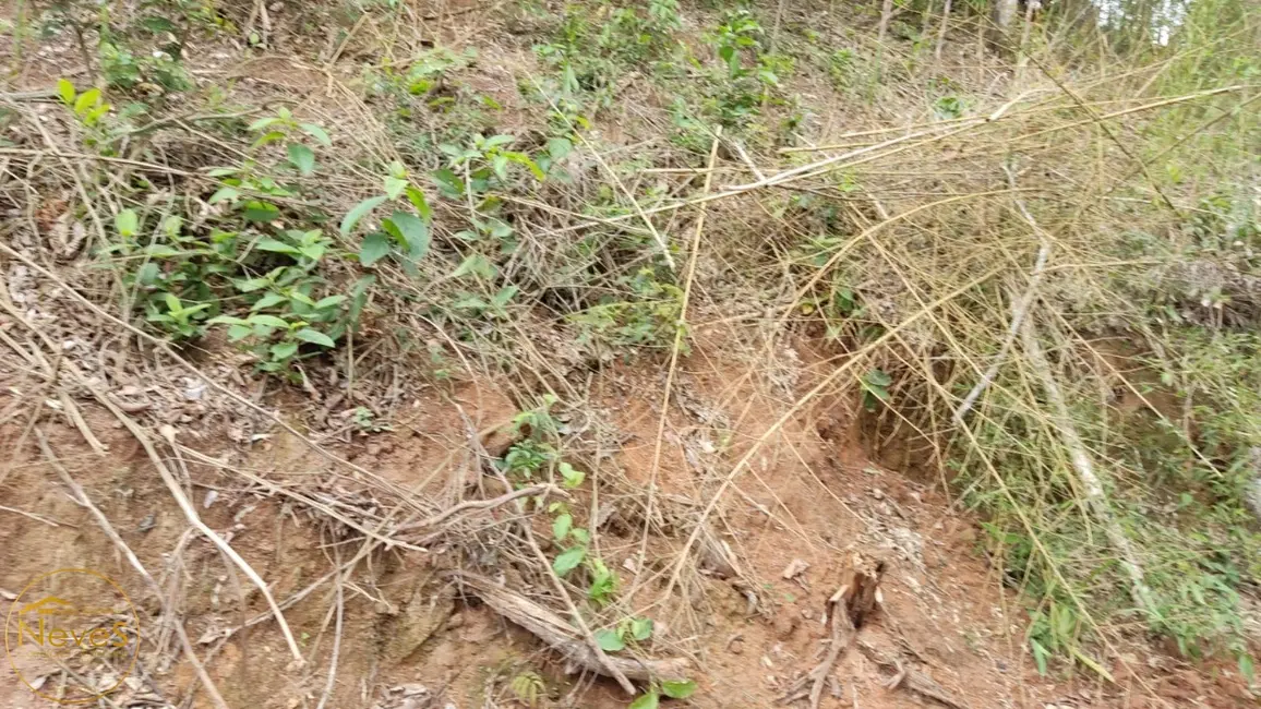 Foto 6 de Terreno / Lote à venda, 1145m2 em Paty Do Alferes - RJ