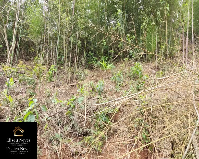 Foto 4 de Terreno / Lote à venda, 1145m2 em Paty Do Alferes - RJ