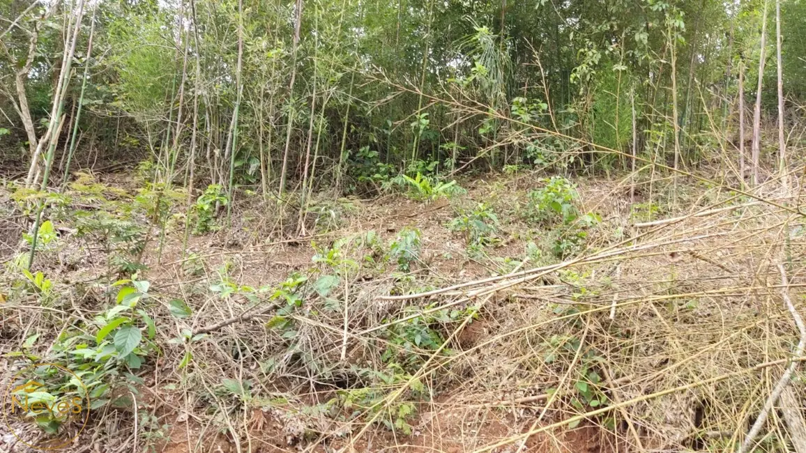 Foto 7 de Terreno / Lote à venda, 1145m2 em Paty Do Alferes - RJ