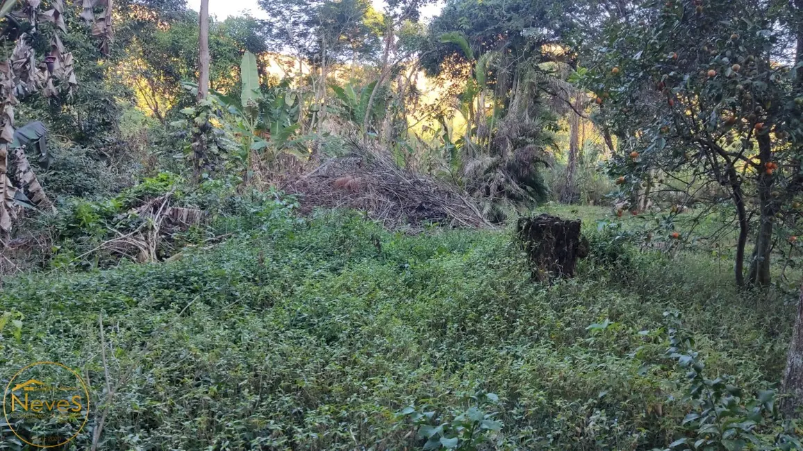 Foto 4 de Terreno / Lote à venda, 420m2 em Paty Do Alferes - RJ