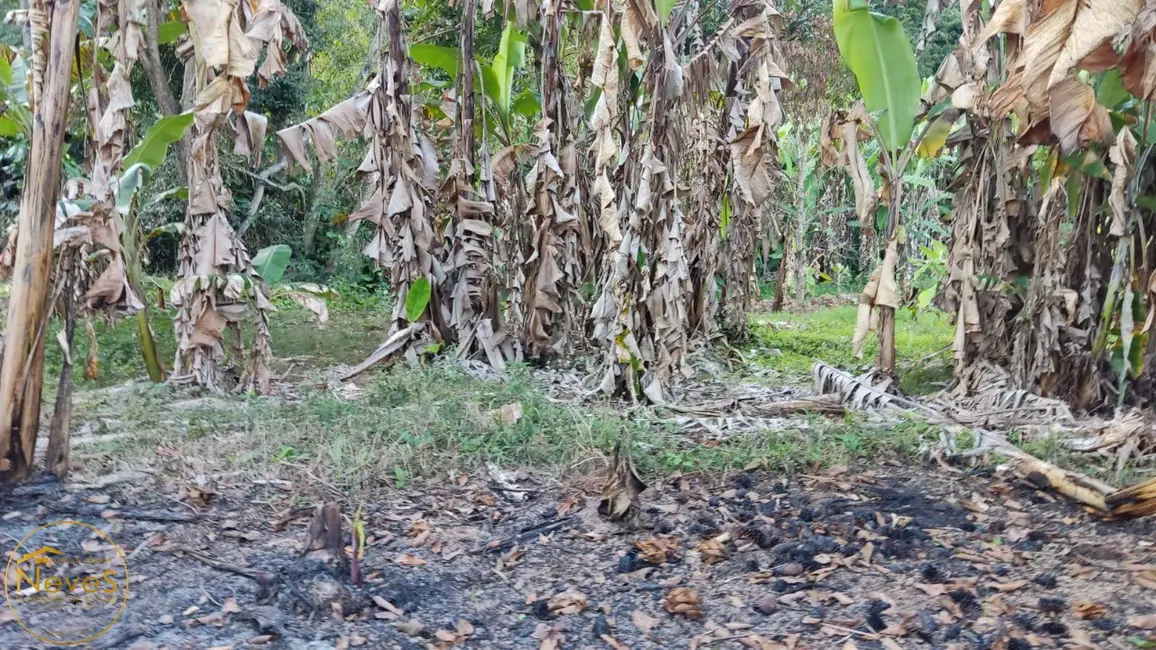 Foto 5 de Terreno / Lote à venda, 420m2 em Paty Do Alferes - RJ