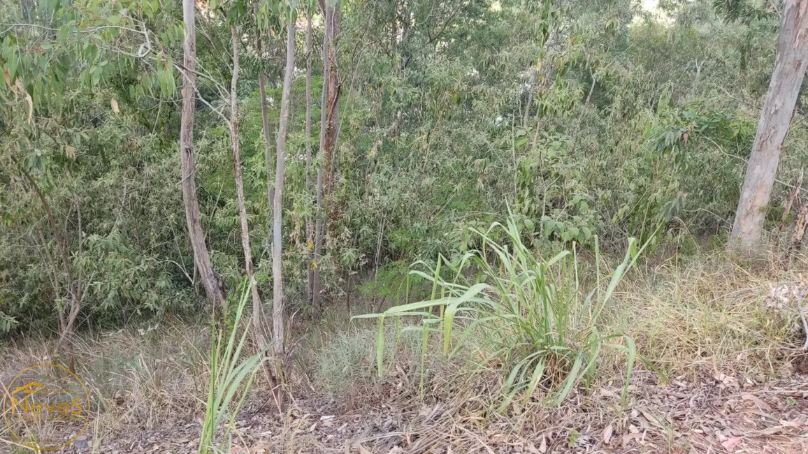 Foto 6 de Terreno / Lote à venda, 393m2 em Paty Do Alferes - RJ