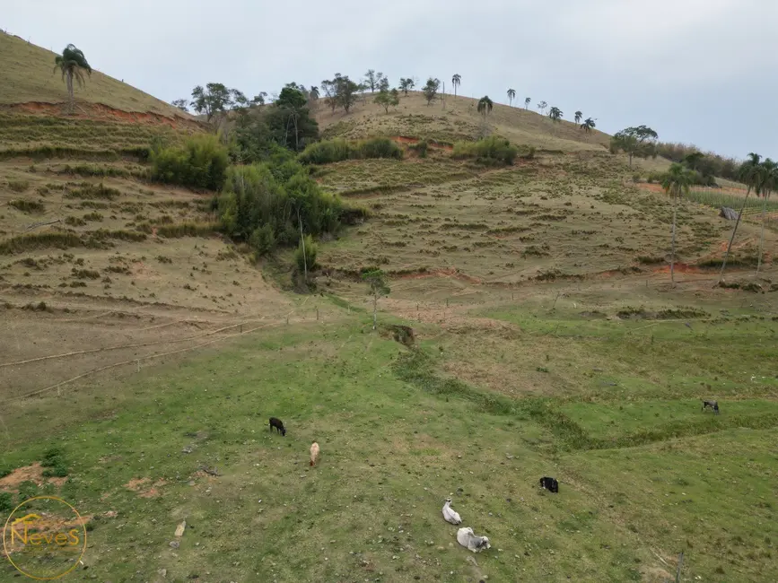 Foto 8 de Terreno / Lote à venda, 290000m2 em Paty Do Alferes - RJ