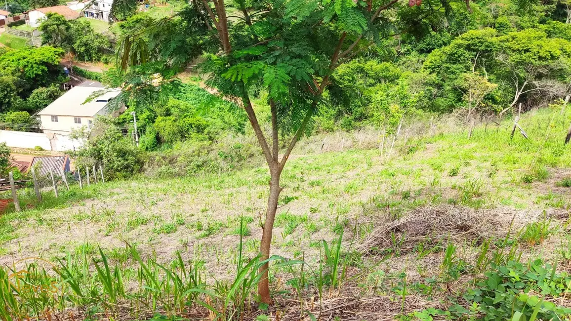 Terreno / Lote à venda, 645m2 em Miguel Pereira - RJ - imagem 4 Foto 4 de Terreno / Lote à venda, 645m2 em Miguel Pereira - RJ