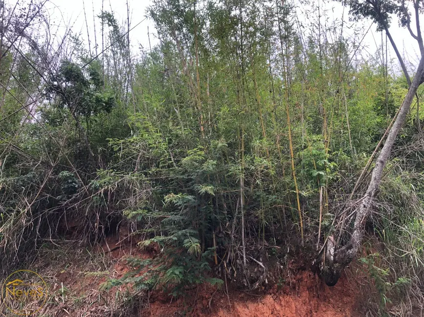 Foto 6 de Terreno / Lote à venda, 1600m2 em Paty Do Alferes - RJ