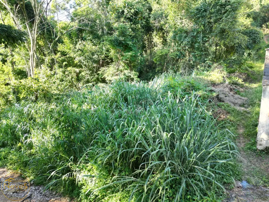 Foto 3 de Terreno / Lote à venda, 1000m2 em Paty Do Alferes - RJ