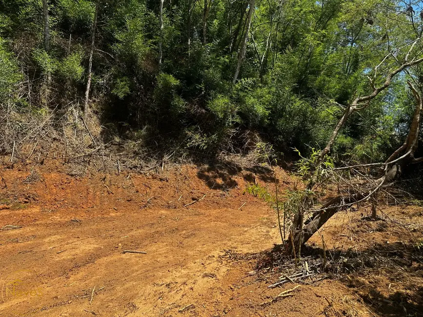 Foto 8 de Terreno / Lote à venda, 800m2 em Paty Do Alferes - RJ
