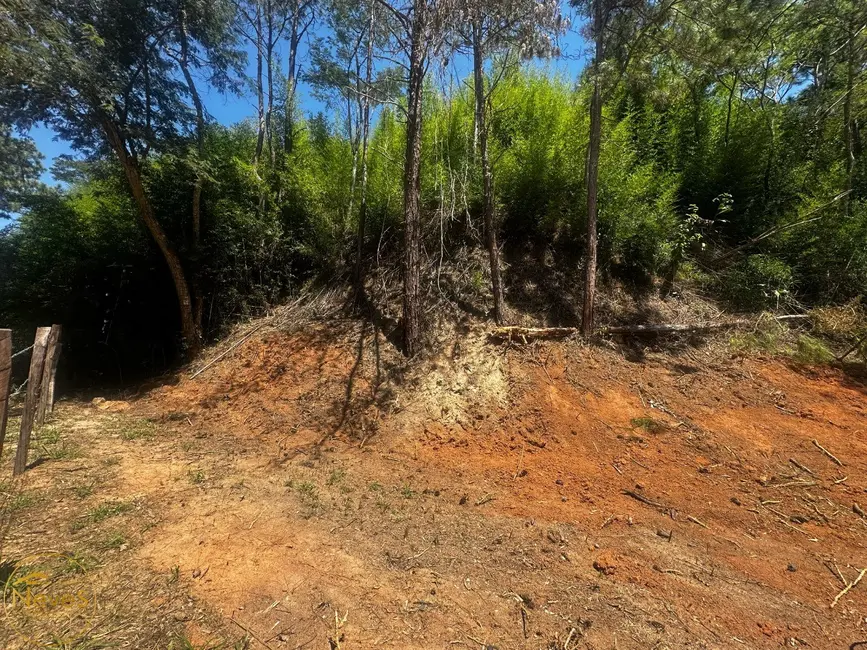 Foto 4 de Terreno / Lote à venda, 800m2 em Paty Do Alferes - RJ