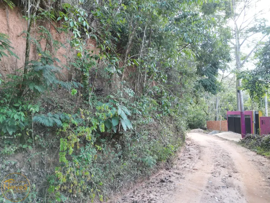 Foto 4 de Terreno / Lote à venda, 599m2 em Paty Do Alferes - RJ