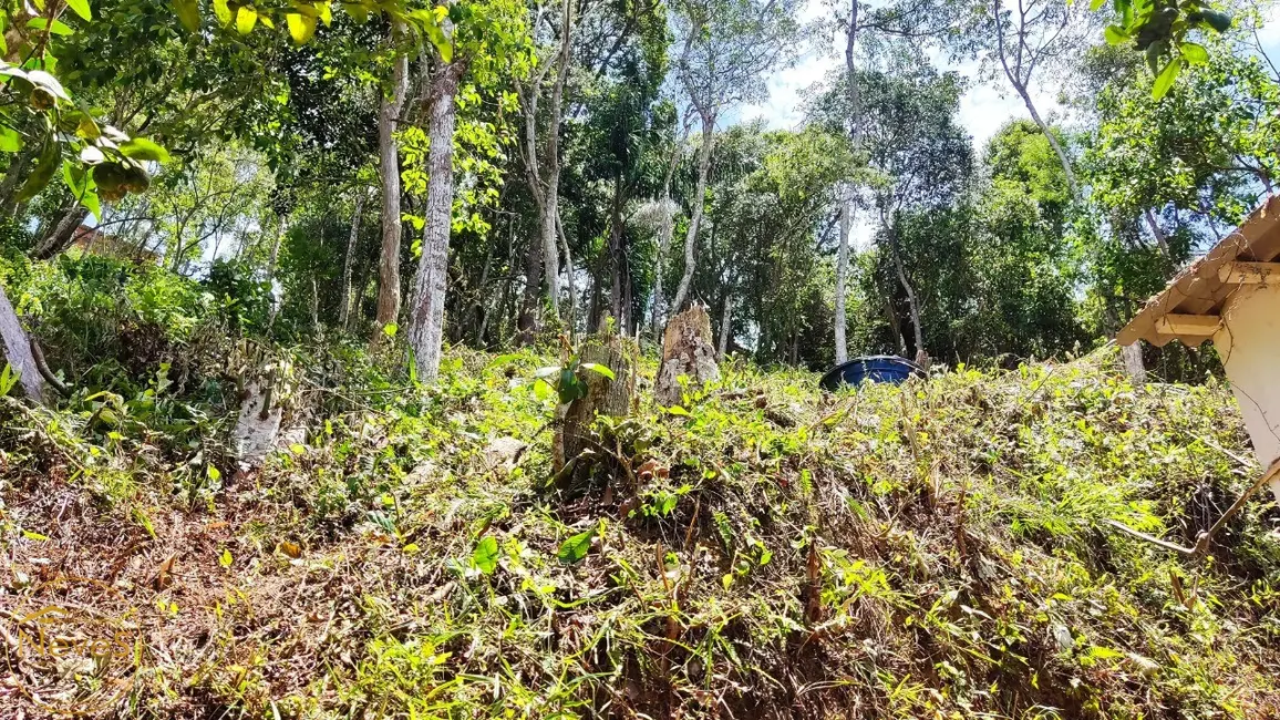 Foto 8 de Casa com 1 quarto à venda, 35m2 em Miguel Pereira - RJ
