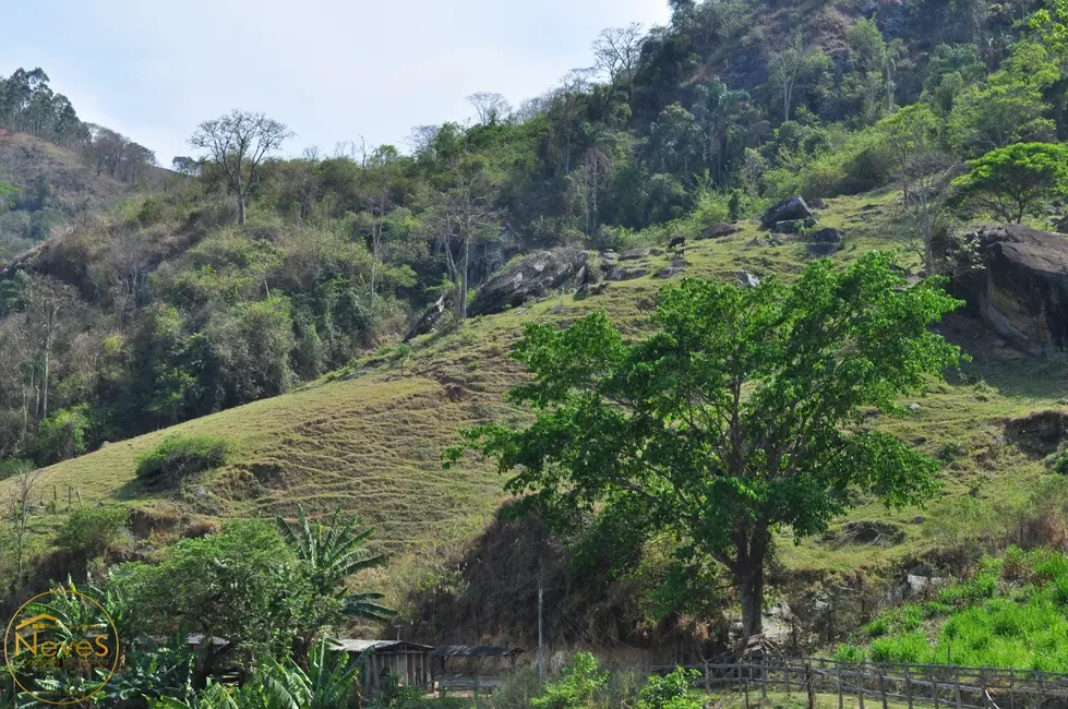 Foto 2 de Sítio / Rancho com 8 quartos à venda, 400m2 em Paty Do Alferes - RJ