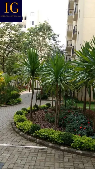 Foto 8 de Apartamento com 3 quartos à venda, 59m2 em Vila Mendes, São Paulo - SP