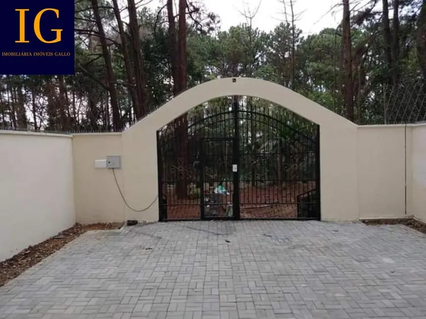 Foto 2 de Apartamento com 3 quartos à venda, 59m2 em Vila Mendes, São Paulo - SP