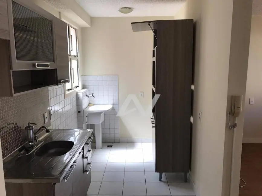 Foto 7 de Apartamento com 3 quartos à venda, 69m2 em Parque Villa Flores, Sumare - SP