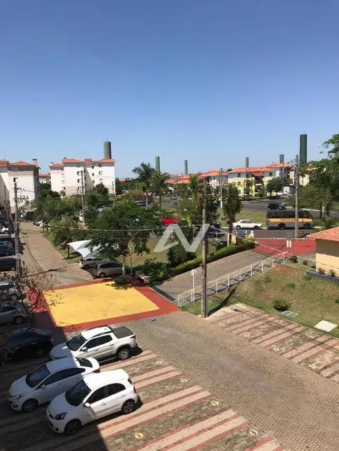 Foto 3 de Apartamento com 3 quartos à venda, 69m2 em Parque Villa Flores, Sumare - SP