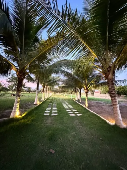 Foto 3 de Fazenda / Haras com 3 quartos à venda, 17m2 em Asa Branca, Feira De Santana - BA