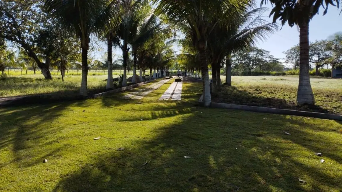 Foto 6 de Fazenda / Haras com 3 quartos à venda, 17m2 em Asa Branca, Feira De Santana - BA