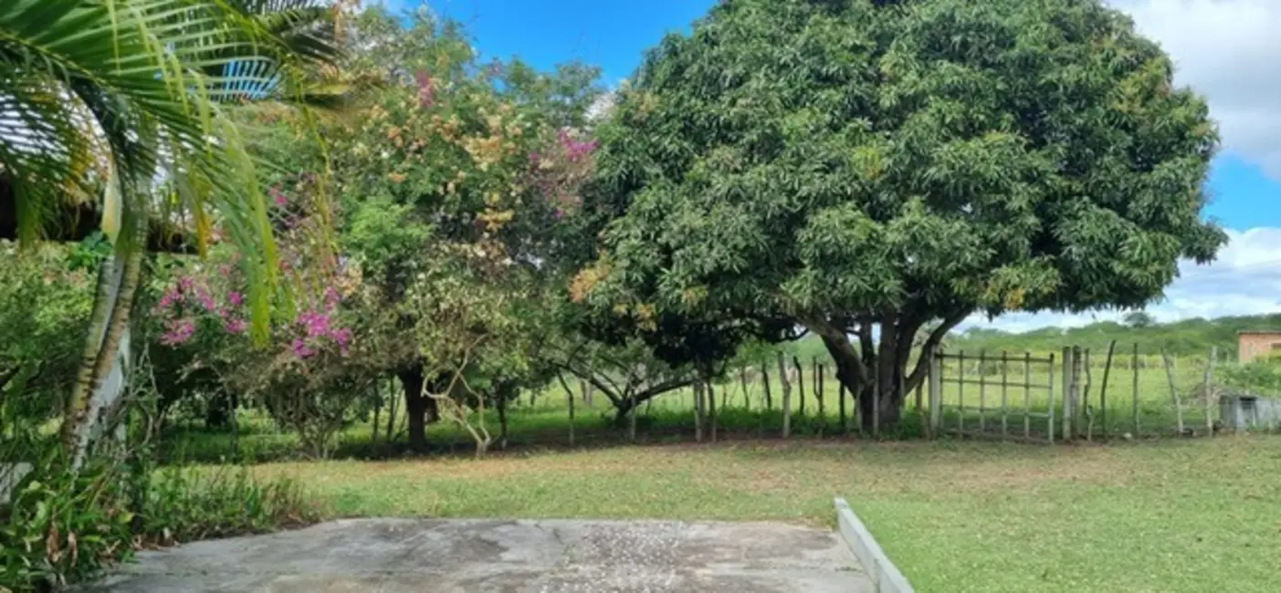 Foto 7 de Fazenda / Haras à venda, 43m2 em Serrinha - BA
