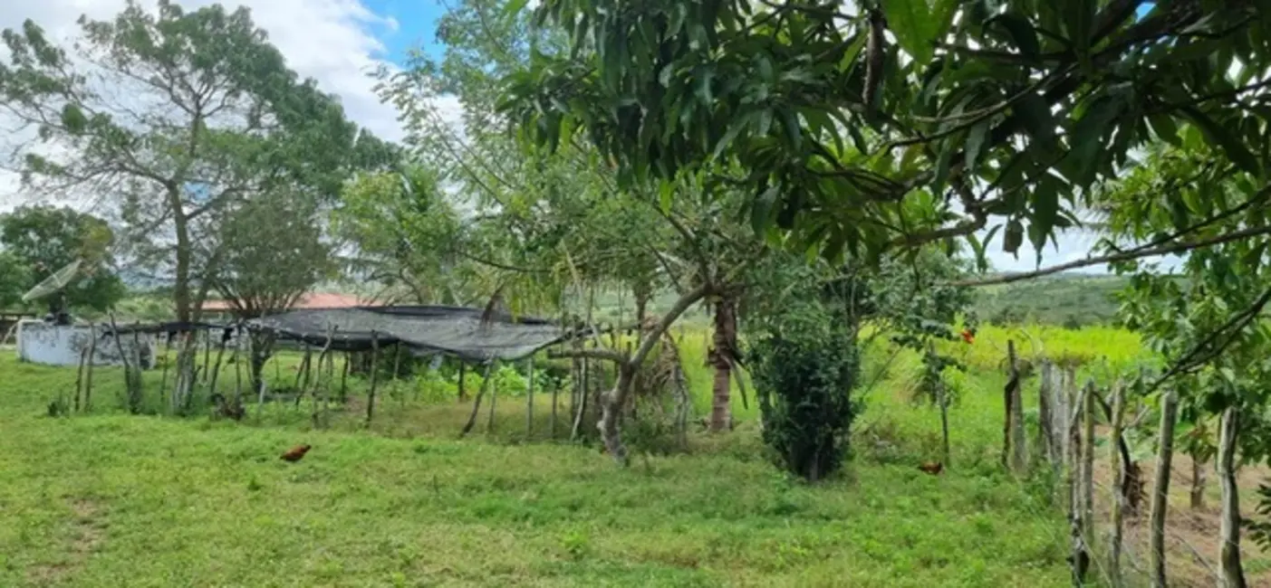 Foto 5 de Fazenda / Haras à venda, 43m2 em Serrinha - BA