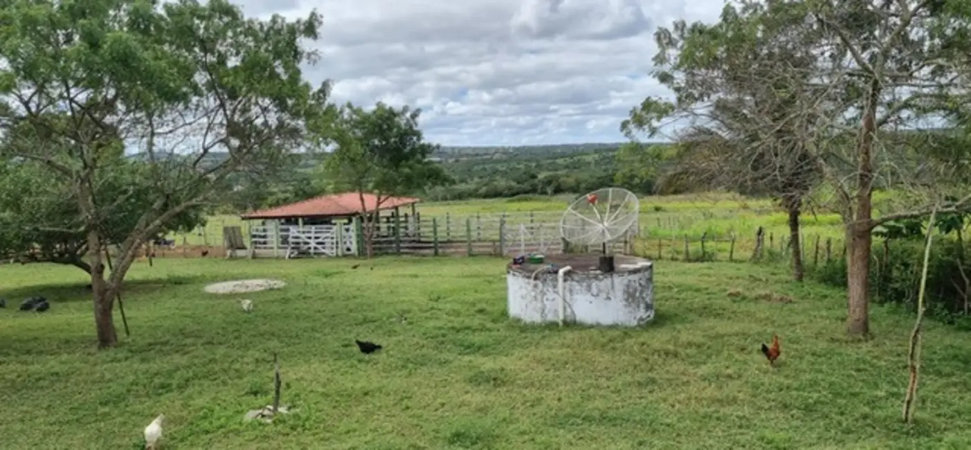 Foto 2 de Fazenda / Haras à venda, 43m2 em Serrinha - BA