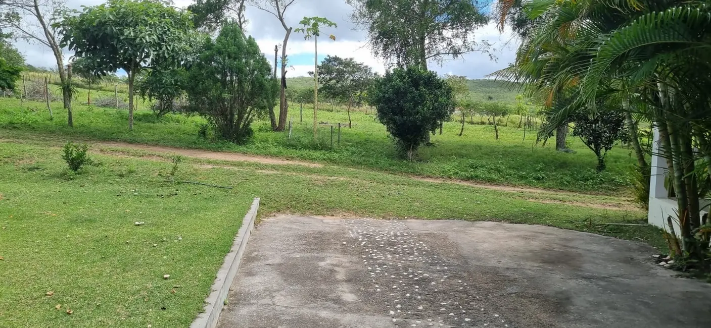 Foto 3 de Fazenda / Haras à venda, 43m2 em Serrinha - BA