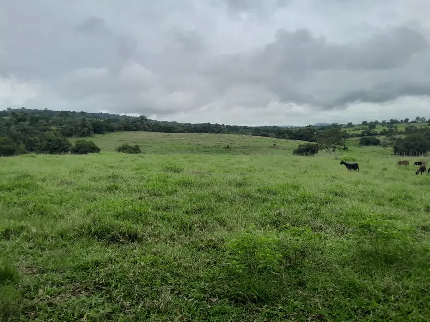 Fazenda / Haras à venda, 26m2 em Terra Nova - BA - imagem 7 Foto 7 de Fazenda / Haras à venda, 26m2 em Terra Nova - BA